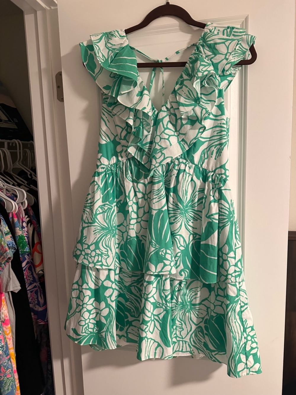 Lilly Pulitzer RITAMARIE V-NECK COTTON RUFFLE DRESS - Picture 6 of 7